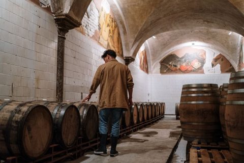 Wine Tasting Tours
