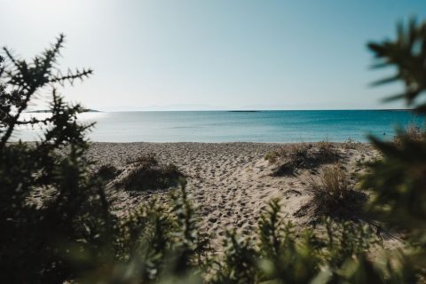 Kalogria Beach and Strofilia Forest
