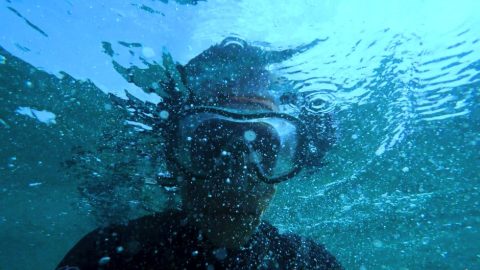 Scuba Diving & Snorkeling