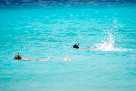 Snorkeling & Diving