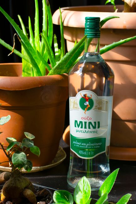 Traditional Tsipouro and Ouzo Distilleries