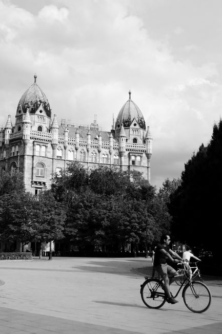 Bike Tours