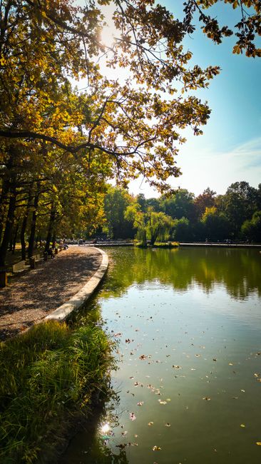 Nagyerdei Park