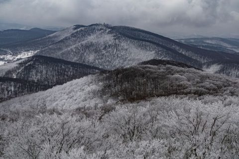 Mecsek Mountains