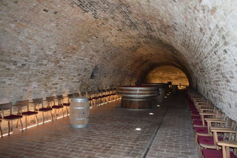 Wine Tasting Tours