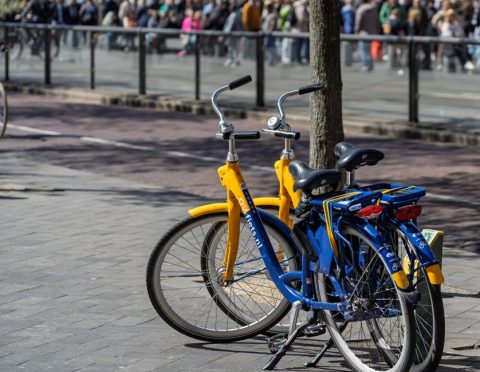 Bike Rentals & Paths
