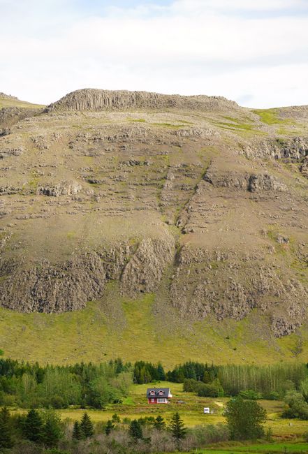 Öskjuhlíð Hill and Forest