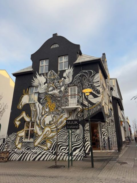 Skólavörðustígur Street