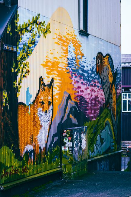 Street Art & Murals