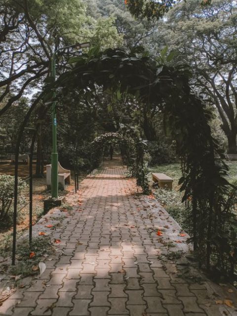 Indira Gandhi Rashtriya Manav Sangrahalaya Garden