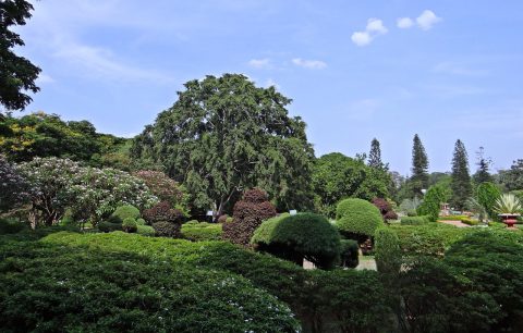 Lal Bagh Botanical Garden