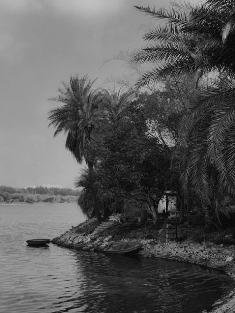 Sankey Tank & Park