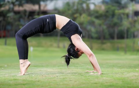 Yoga & Wellness Retreats