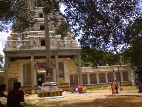 Bull Temple (Dodda Basavana Gudi)