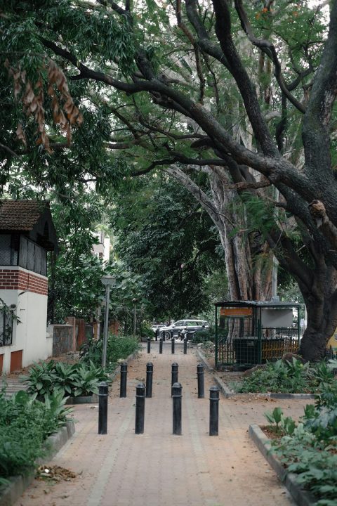 Public Gardens & Waterfront Installations