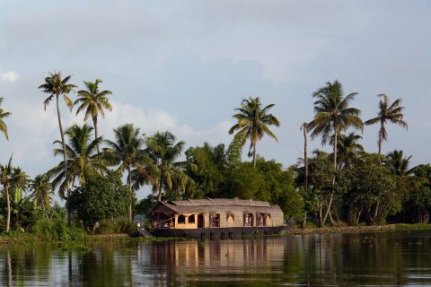 Backwater Tours