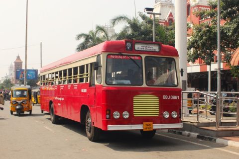 Guided City Tours