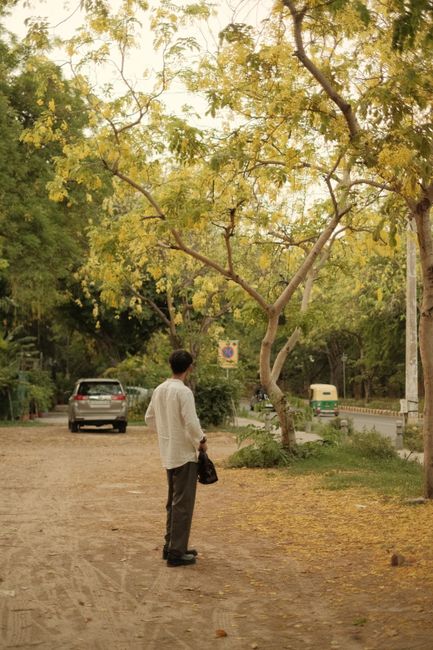 Sanjay Van