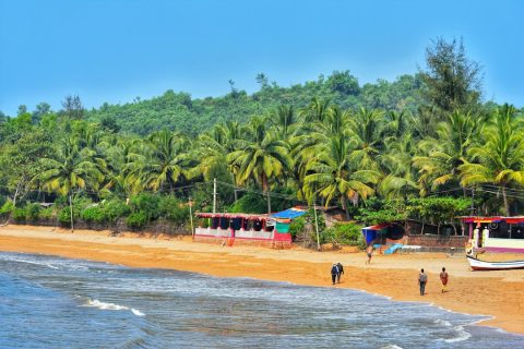 Dolphin Spotting & Boat Tours