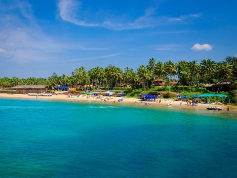 Scuba Diving & Snorkeling