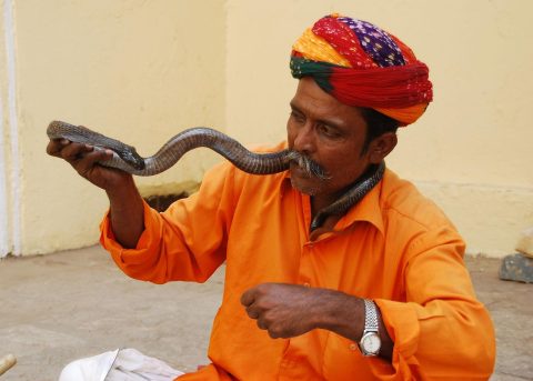 Jaipur City Tour