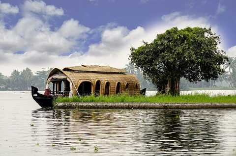 Alleppey (Alappuzha) Backwaters
