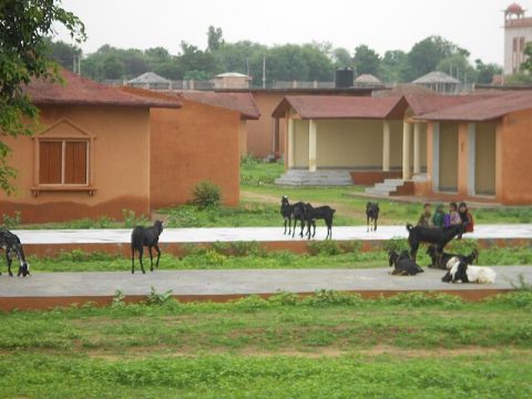 Shilpgram