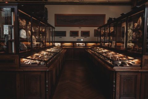 Museum Geologi (Geological Museum)