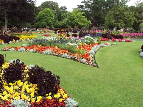 Taman Jalan Lengkong Kecil (Flower Garden)