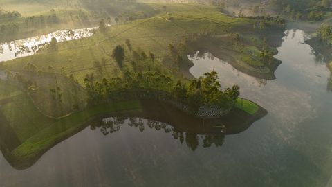Tea Plantation Tours (Patenggang Lake Area)