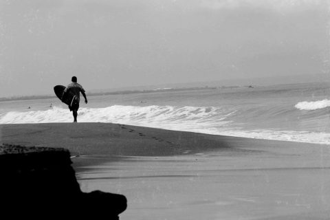 Surfing Lessons