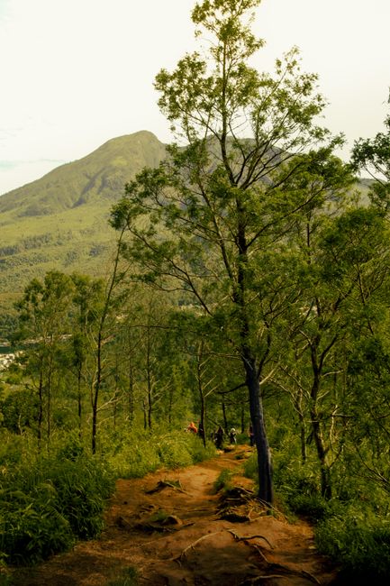 Bukit Barisan National Park (Accessible Sites)