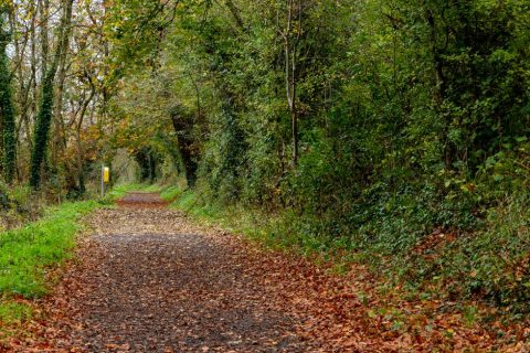 Newgrange & Boyne Valley