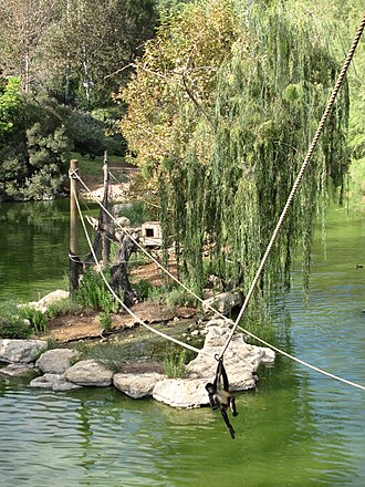 Jerusalem Biblical Zoo (Tisch Family Zoological Gardens)