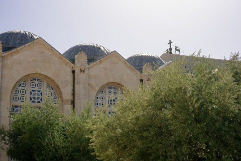 Mount of Olives & Garden of Gethsemane