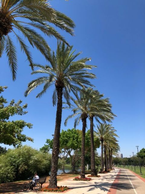 Independence Park (Gan HaAtzma'ut)
