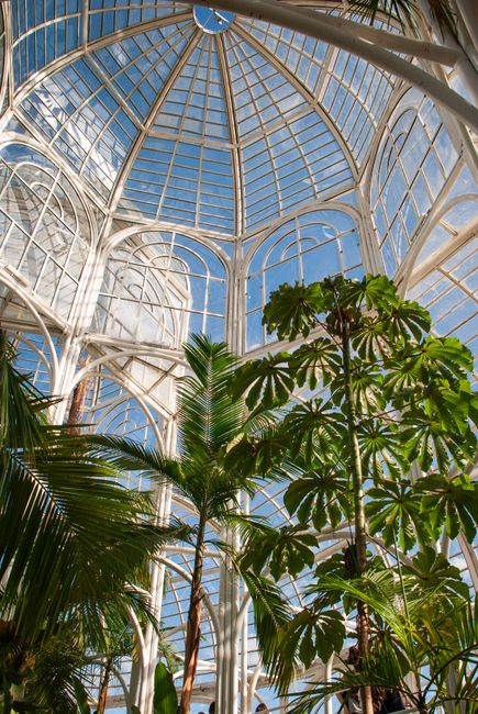 Orto Botanico (Botanical Garden)