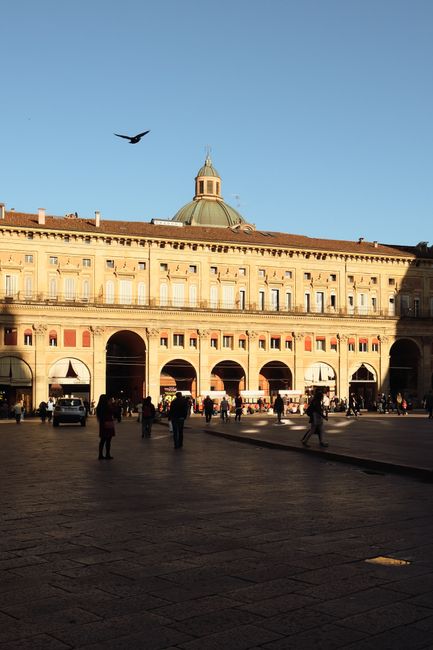 Piazza Maggiore Christmas Tree and Nativity Scene