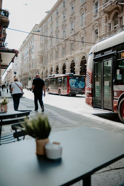 ATAF City Buses