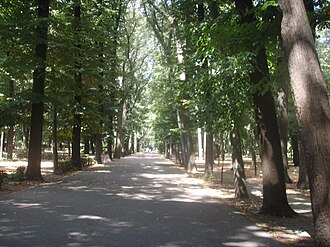 Parco delle Cascine