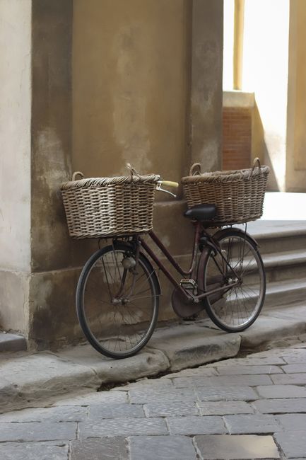 Walking & Bike Tours