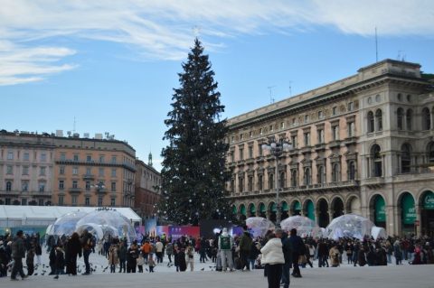 Oh Bej! Oh Bej! Christmas Market
