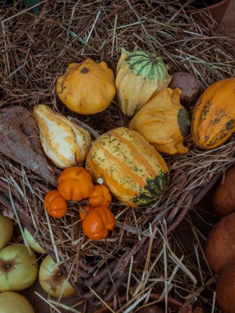 Piedigrotta Autumn Harvest and Song Festival