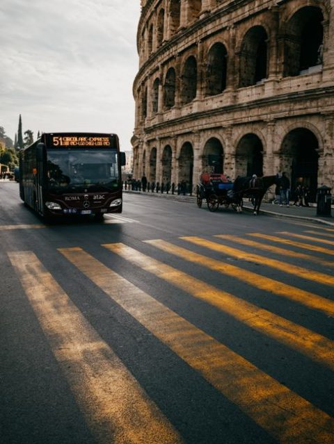 Bus Network