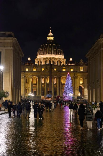 Nativity Scene and Christmas Tree in St. Peters Square