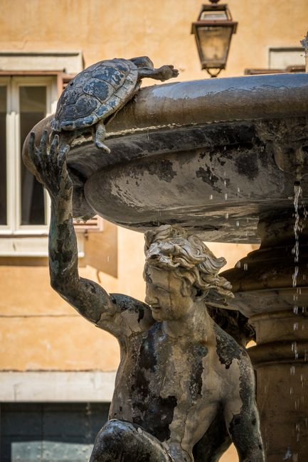 Turtle Fountain