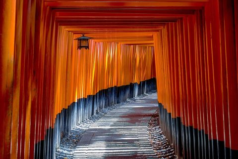 Fushimi Sake District