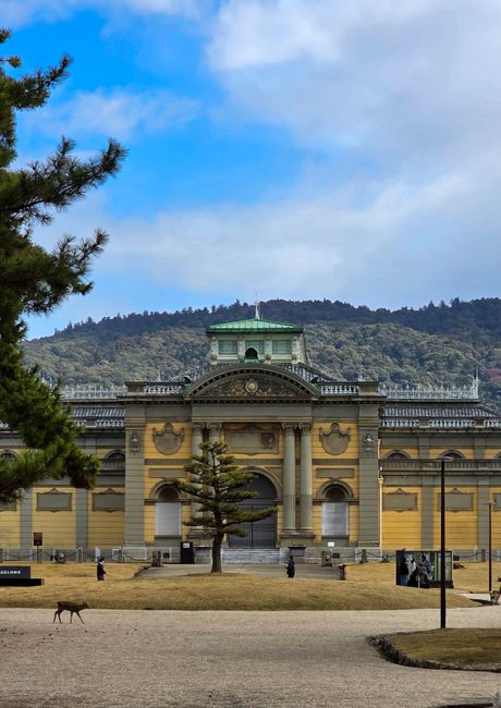 The Museum of Kyoto