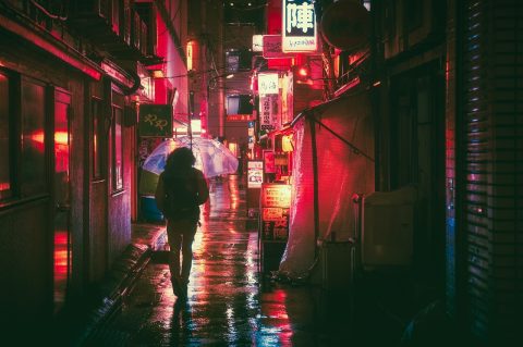 Osaka Food Tour with Local Guide