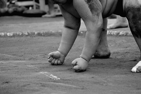Sumo Wrestling Tournament